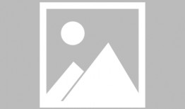 中骏爆料最新消息新闻报道,揭秘公司最新动态与未来规划